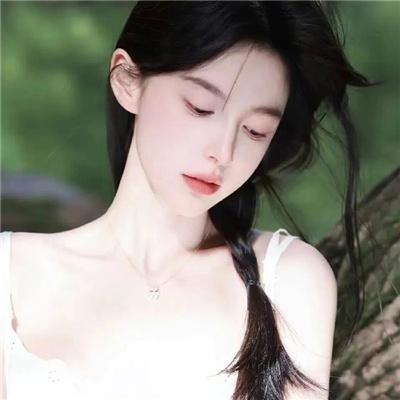 侠盗正传